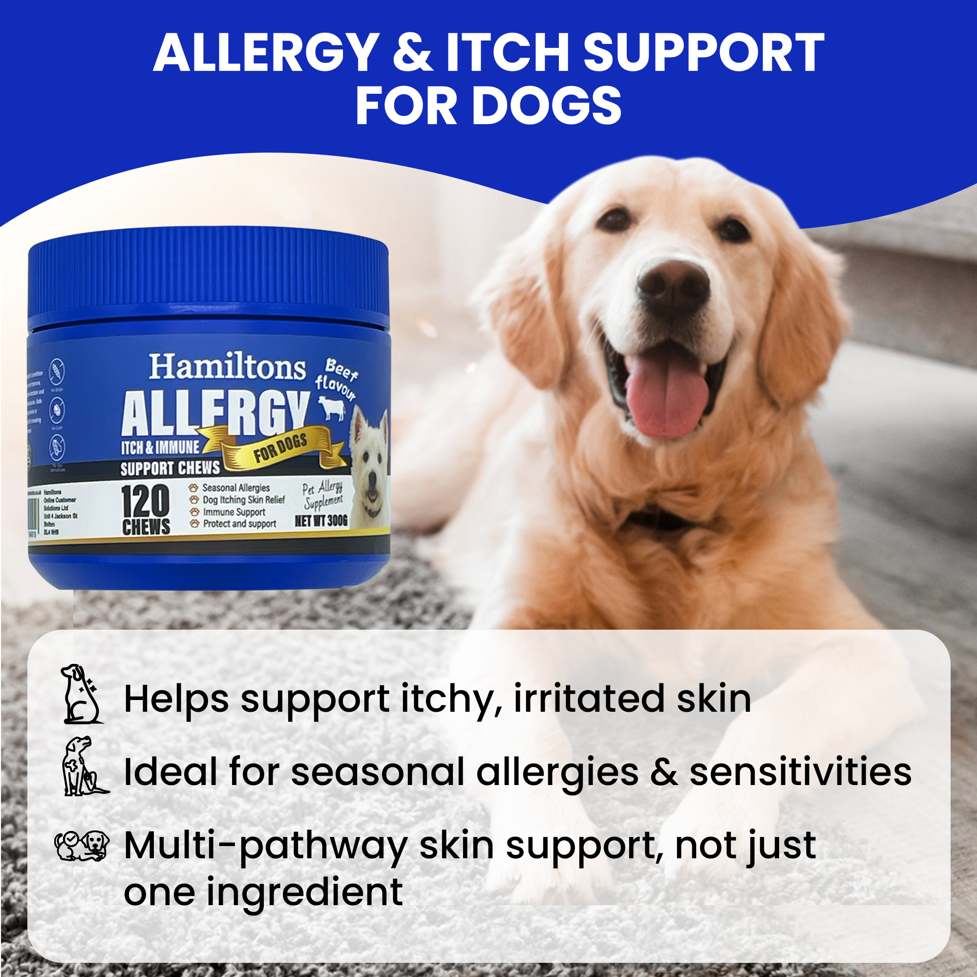 Hamiltons Allergy & Itch Chews for Dogs – Immune Support Soft Chews with Probiotics 120 Beef Flavour Chews