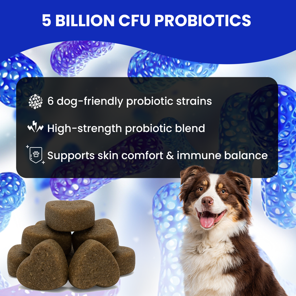 Dog probiotic supplement with a dog sitting next to it, featuring text about probiotic benefits.