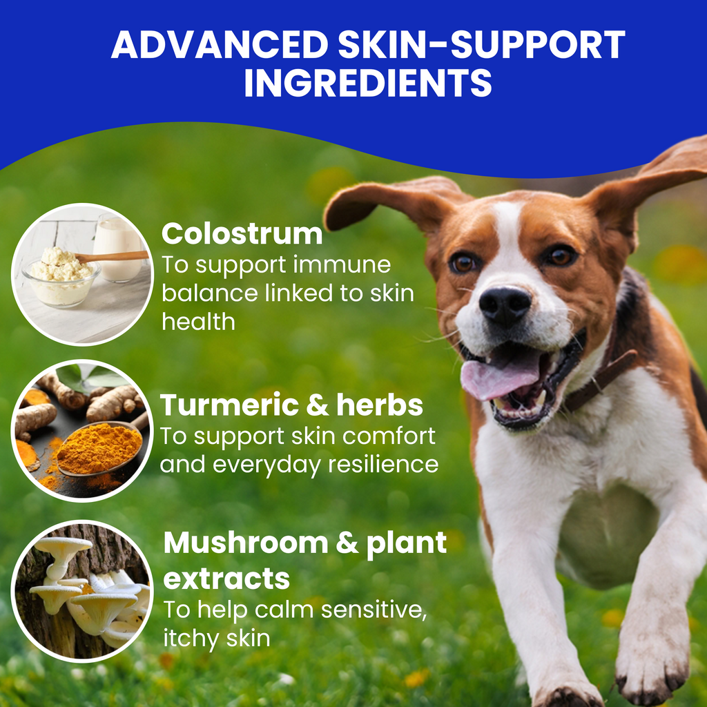 Dog on grass with advanced skin-support ingredients text and images.