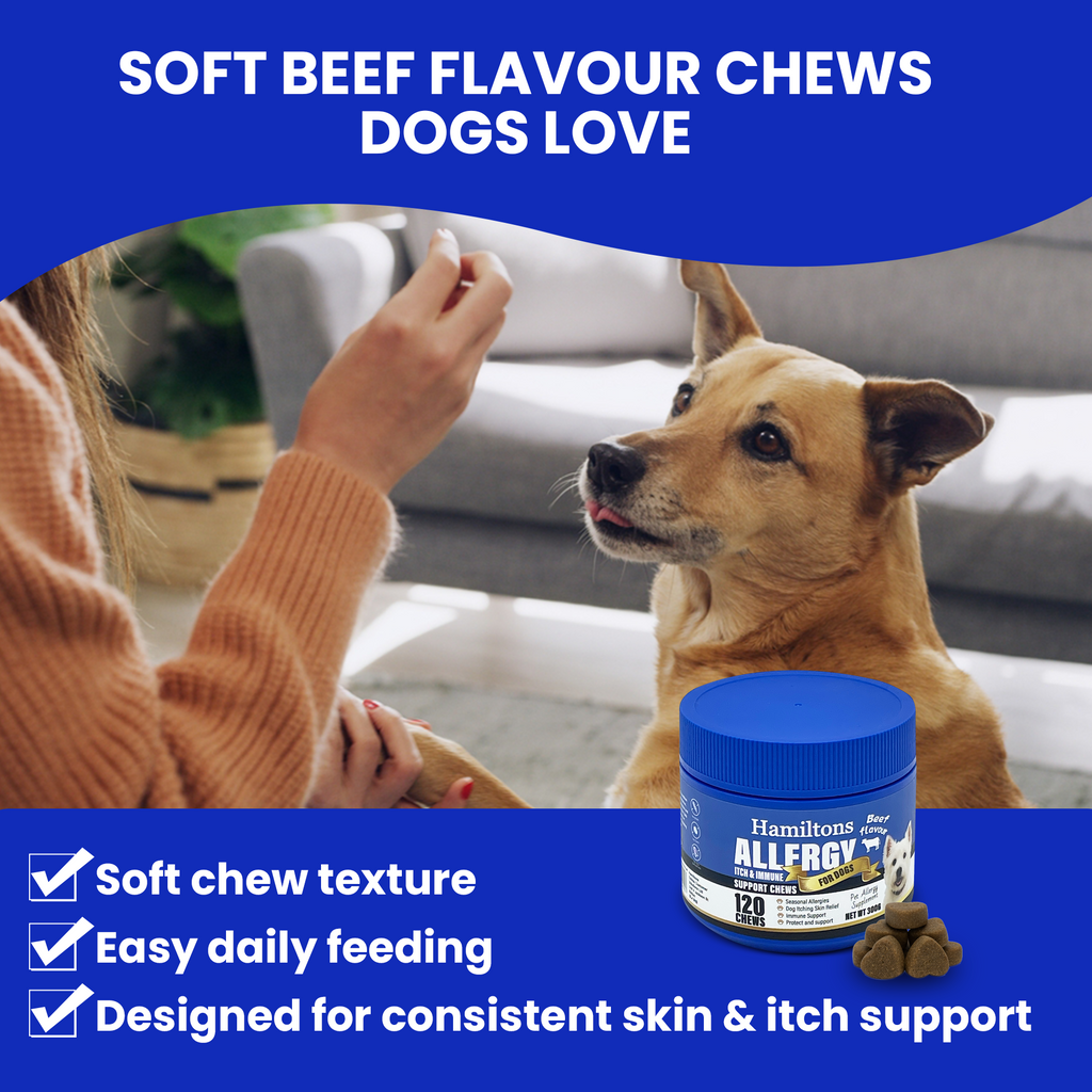 Dog receiving a soft beef flavor chew with product packaging and text highlighting features.