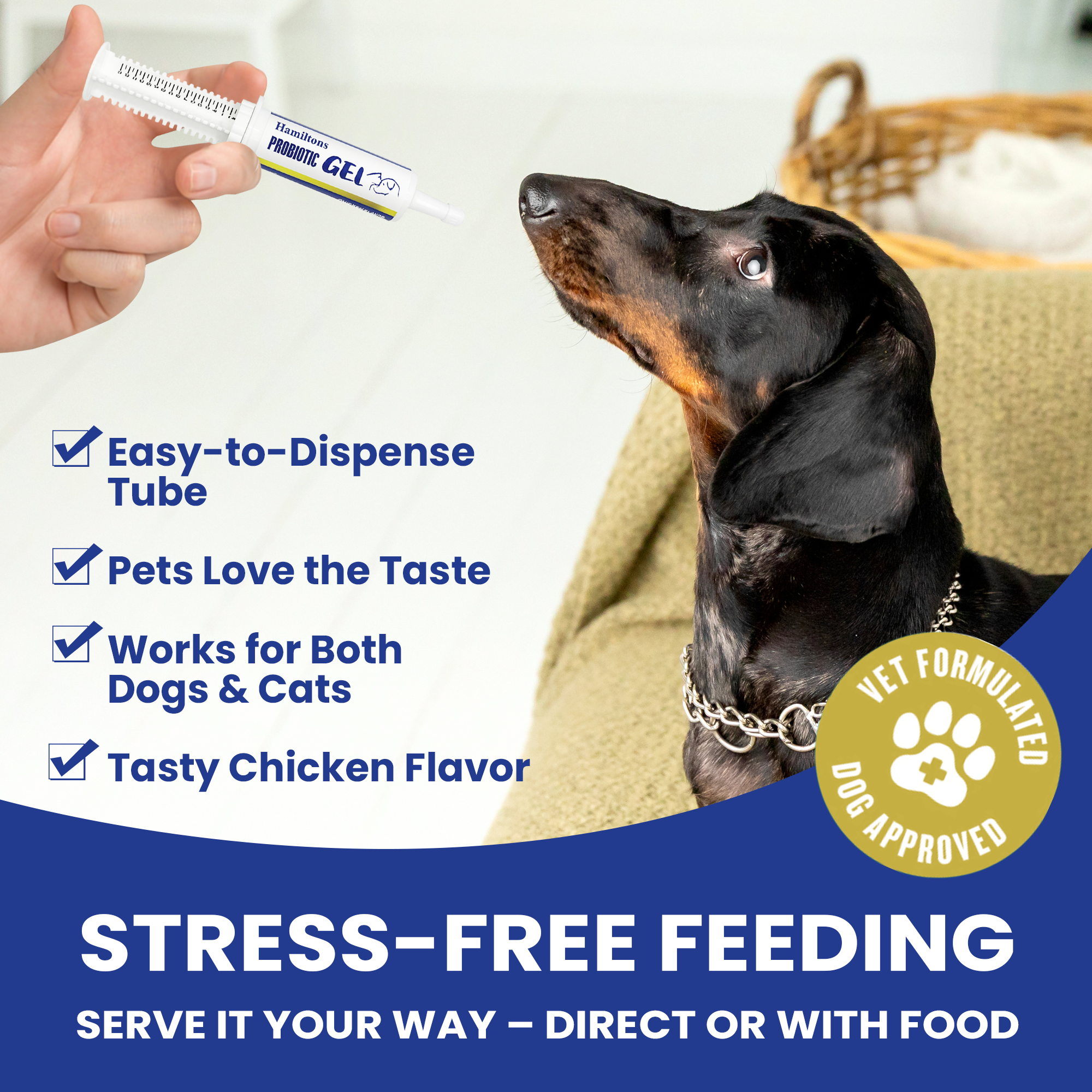 Hamiltons Probiotic Paste Gel for Dogs and Cats Chicken Flavour 60ml - Gut Health Digestive Supplement