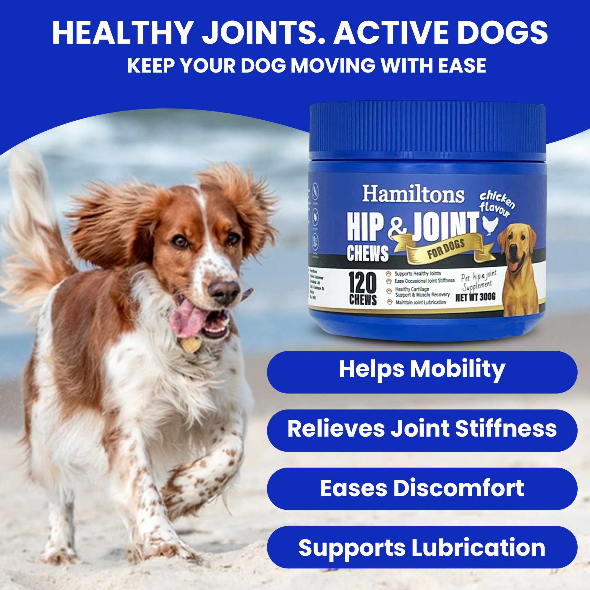 Hamilton’s Hip & Joint Supplement for Dogs – 120 Beef Flavour Chews