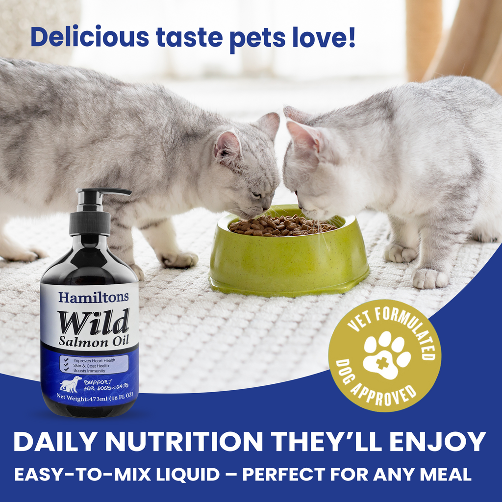 Hamiltons Wild Salmon Oil for Dogs & Cats – Pure Natural Omega-3 Supplement with Vitamin E