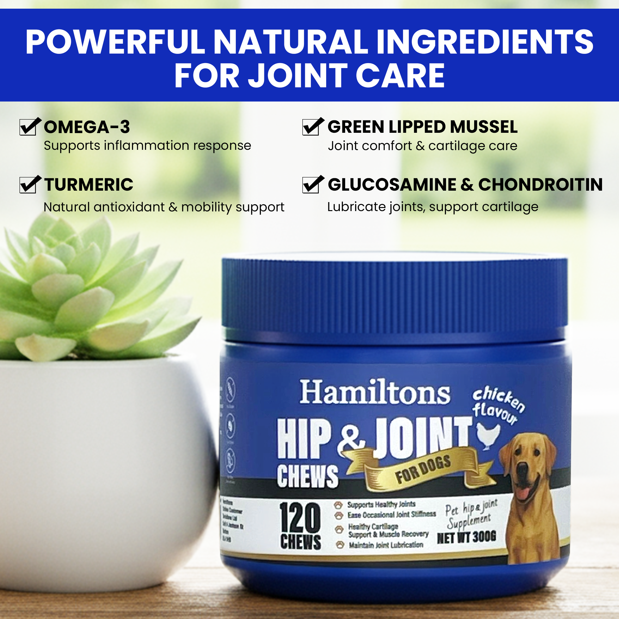 Hamilton’s Hip & Joint Supplement for Dogs – 120 Beef Flavour Chews