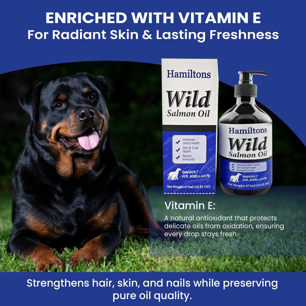 Hamiltons Wild Salmon Oil for Dogs & Cats – Pure Natural Omega-3 Supplement with Vitamin E