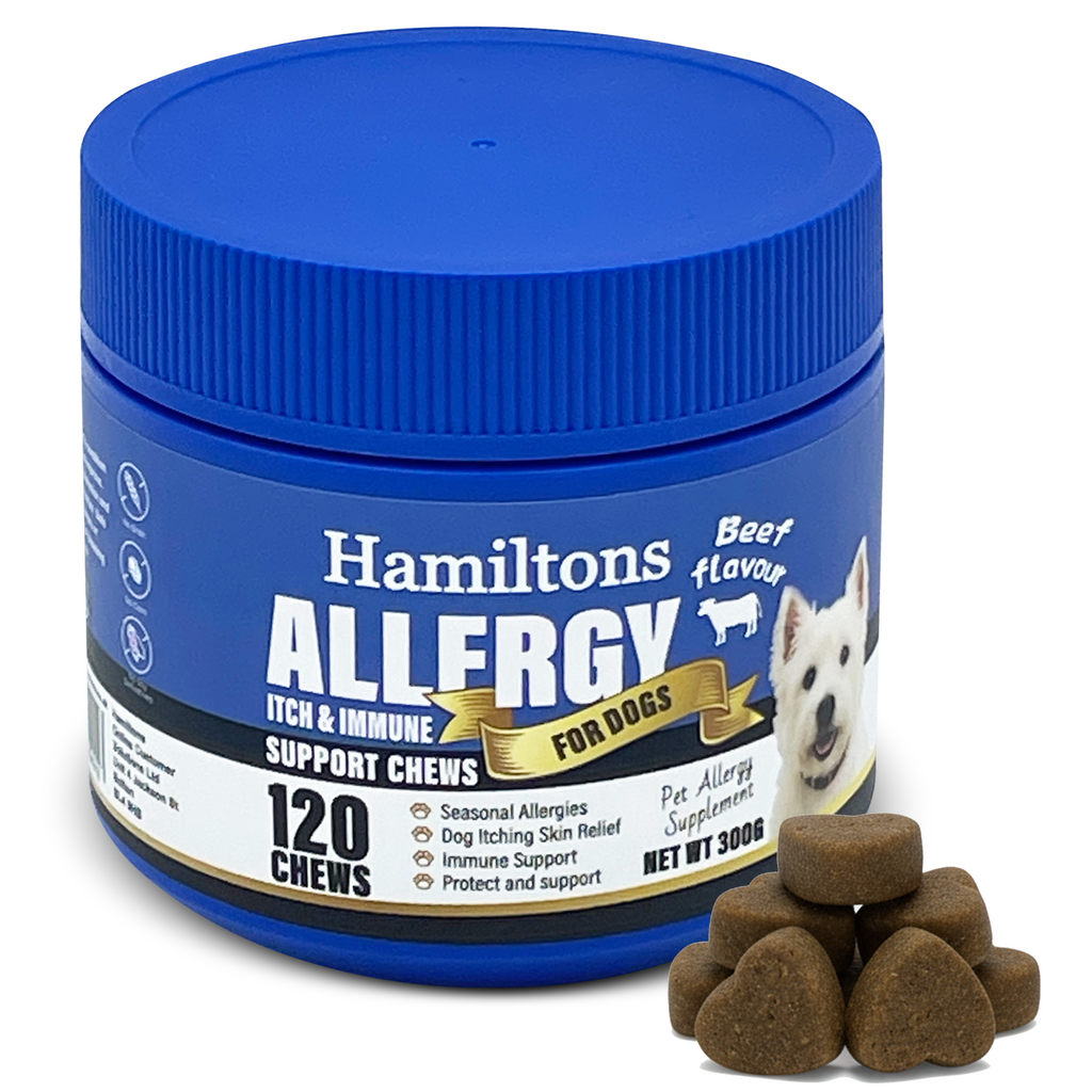 Blue container of Hamilton's Allergy Itch & Immune Support Chews for dogs with dog treats on a white background