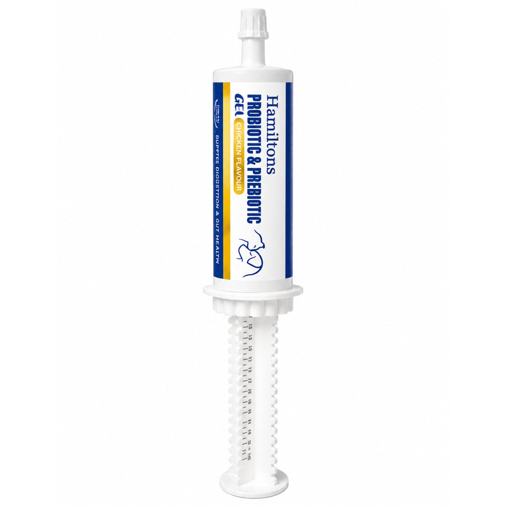 Tube of probiotic and prebiotic gel on a white background